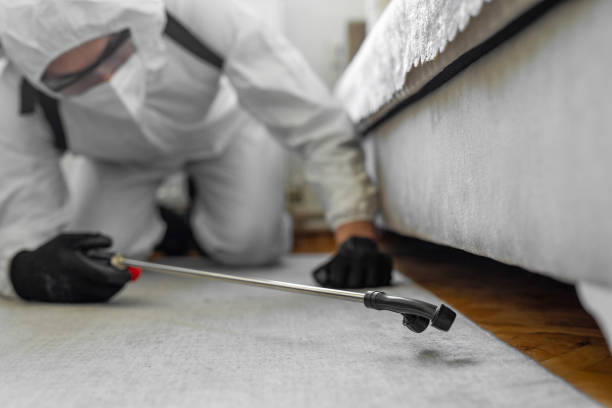 Professional Pest Control technician working in Gratiot County County, MI